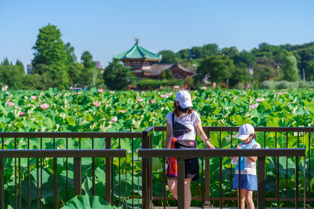 lotus ueno