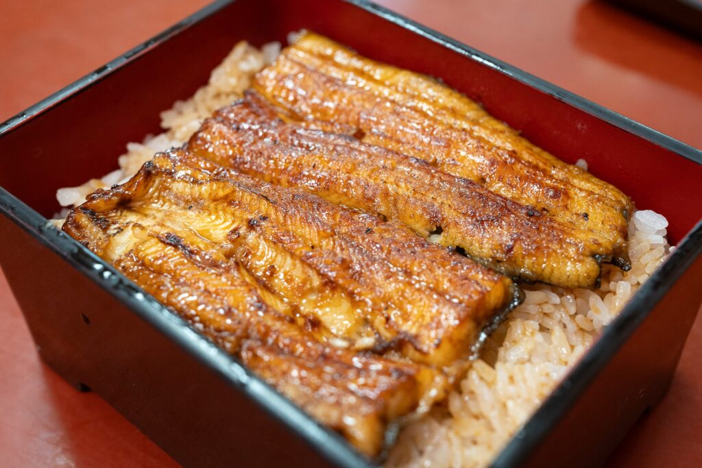 Unagi, l’anguille japonaise