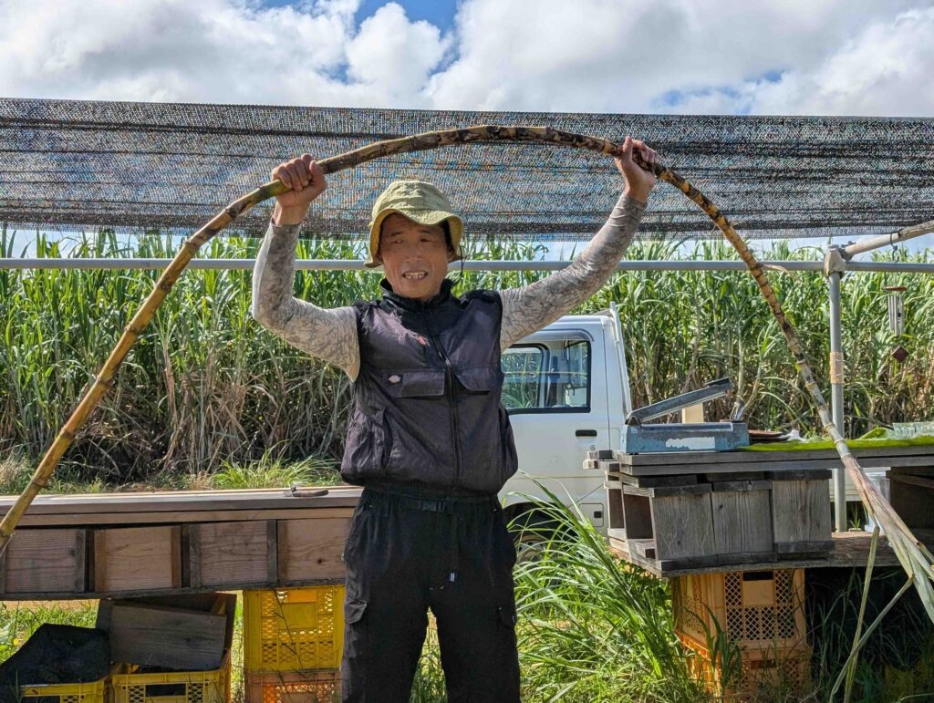 miyakojima alternative farm