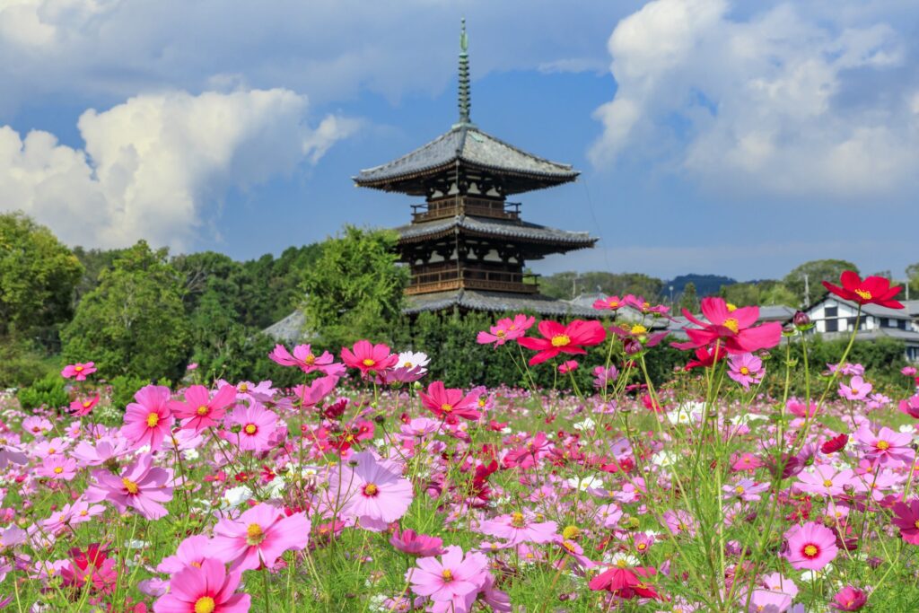 cosmos temple hokki-ji nara