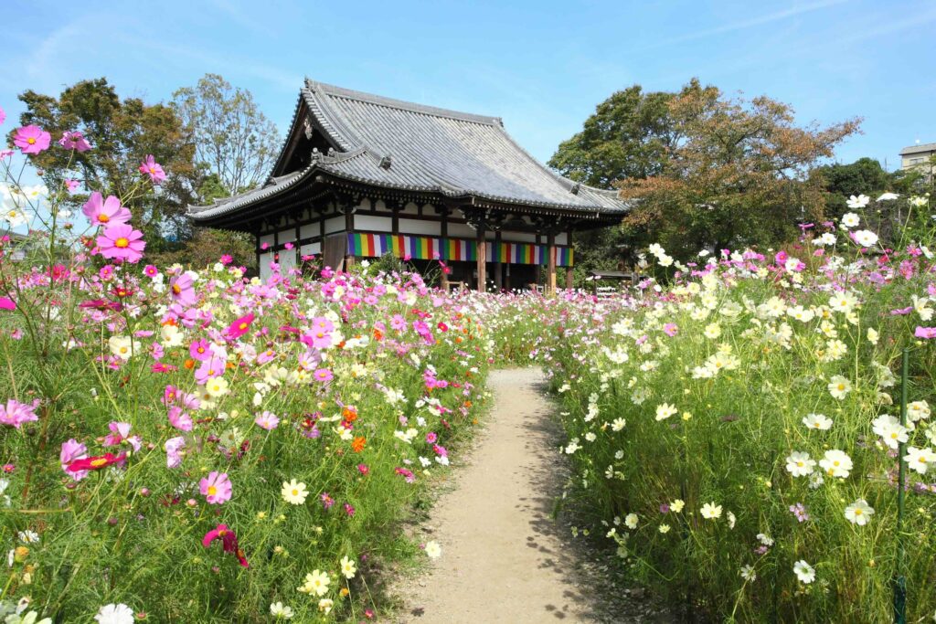 hannya-ji nara