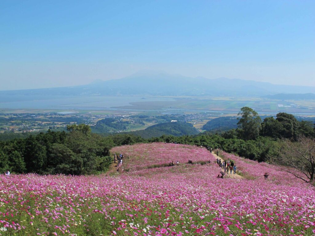 nagasaki shirakimine cosmos