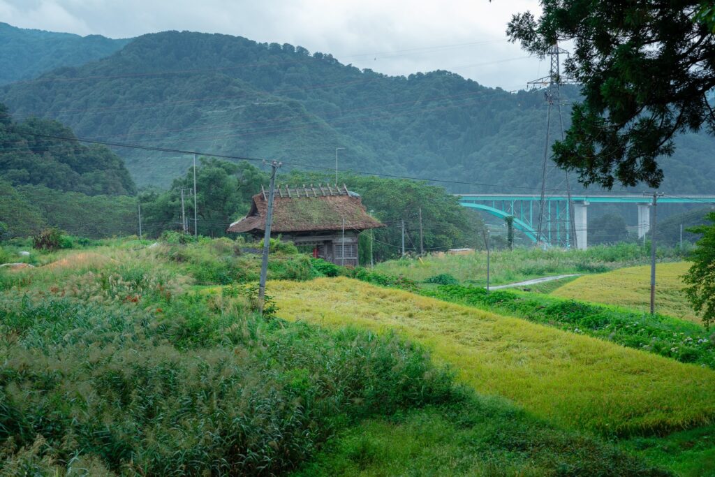 temple dainichibo