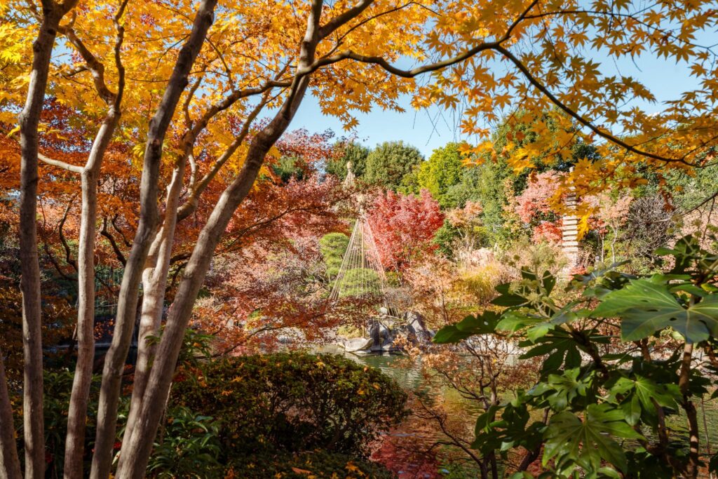 L’automne au Japon : conseils et recommandations