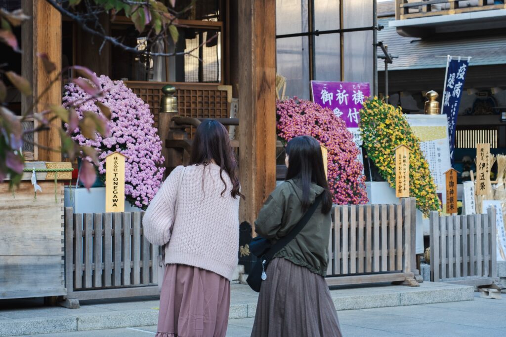 chrysanthème au Japon