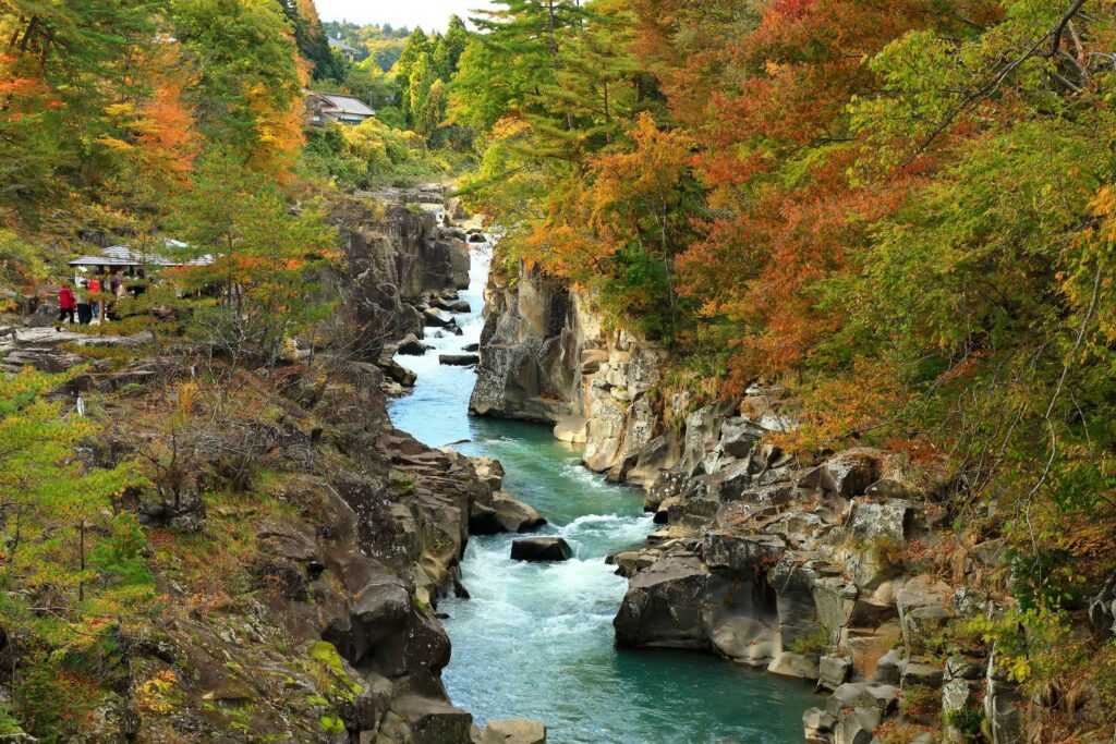 automne genbikei