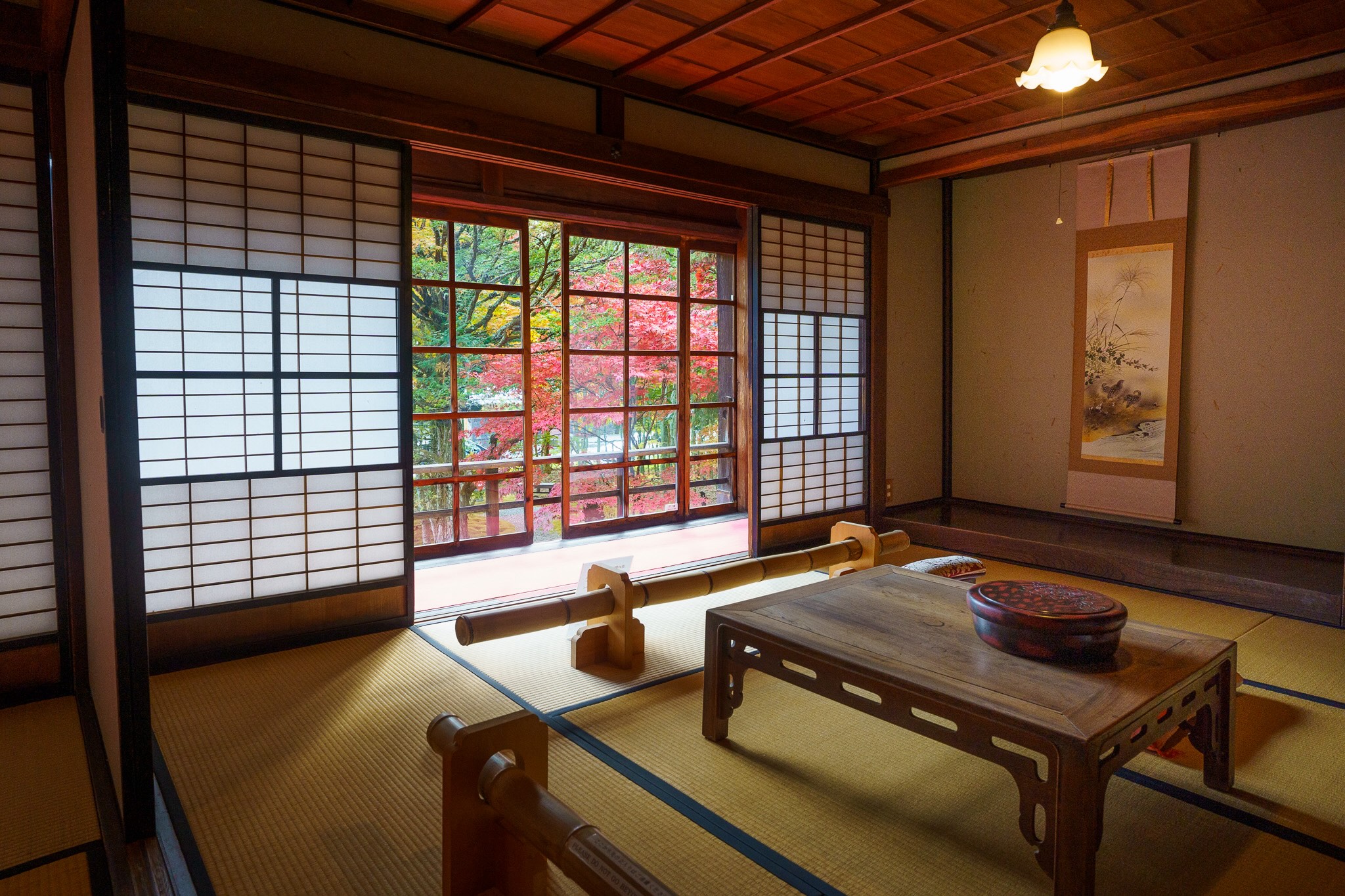 momiji nord du japon