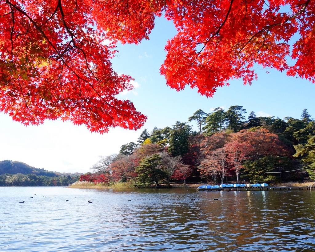 shirakawa nanko koen