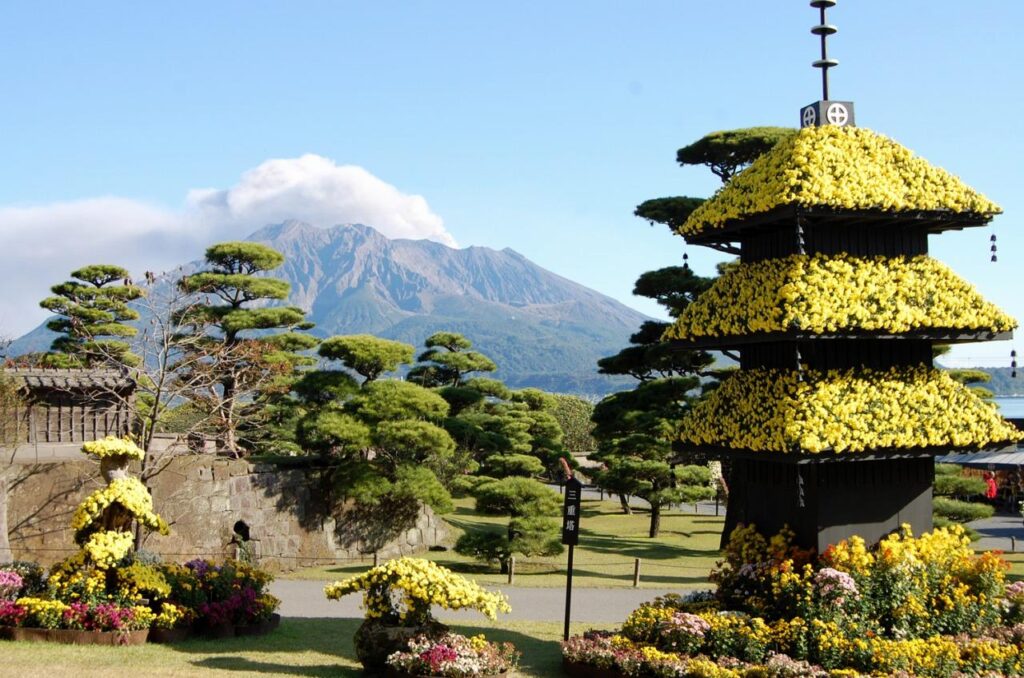 kagoshima sengan-en kiku