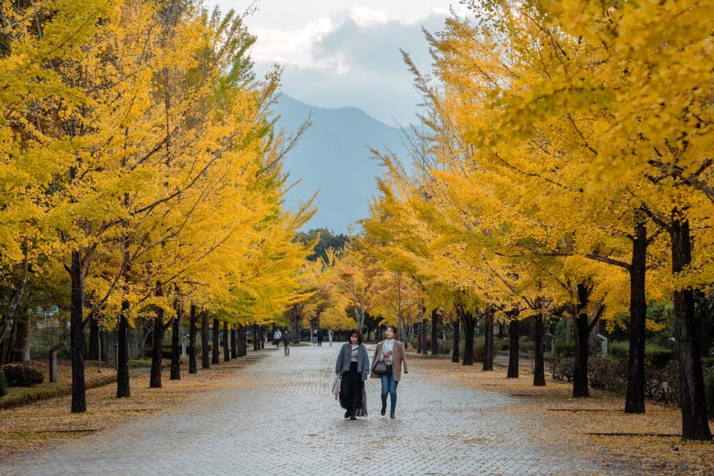 chichibu muse park saitama