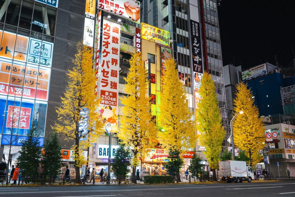 ginkgo akihabara