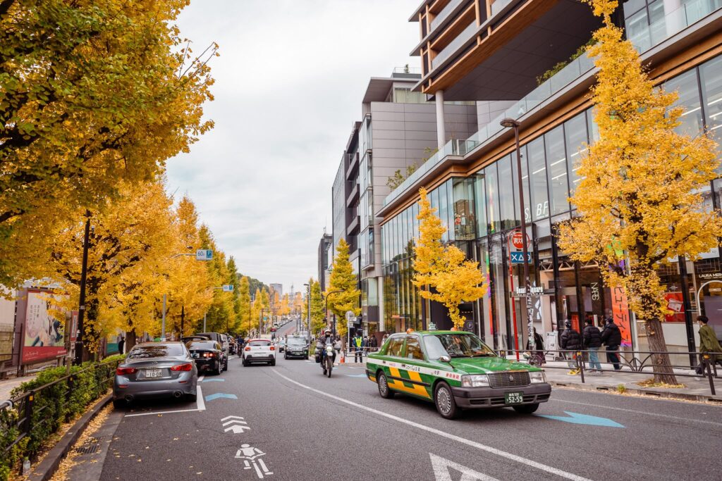 automne harajuku