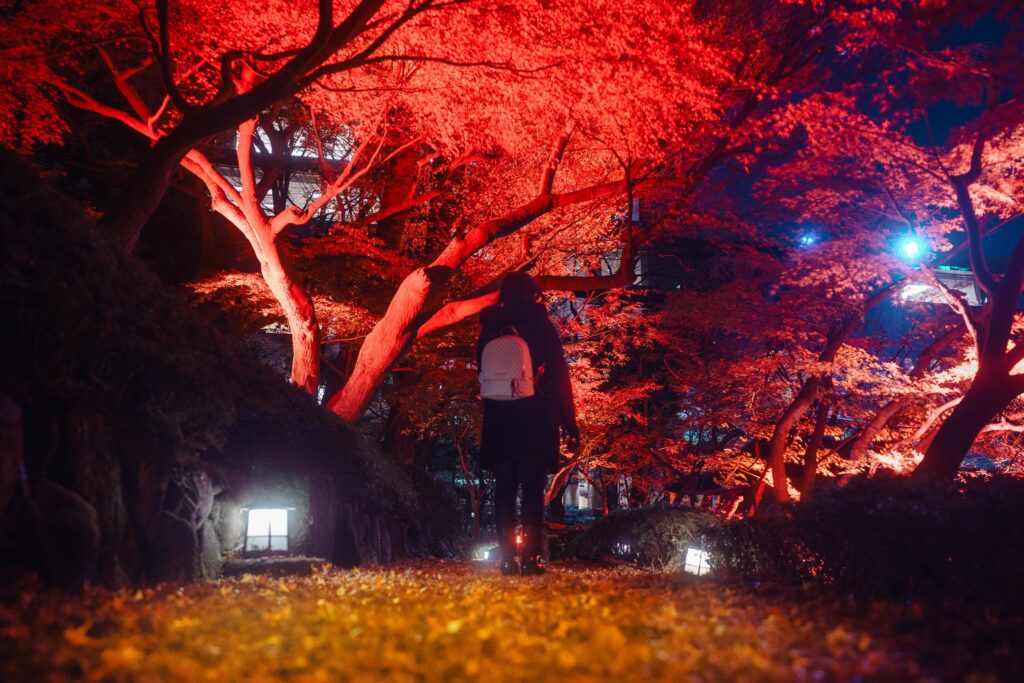 automne japon nuit