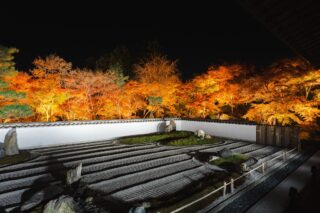 illuminations d'automne au japon