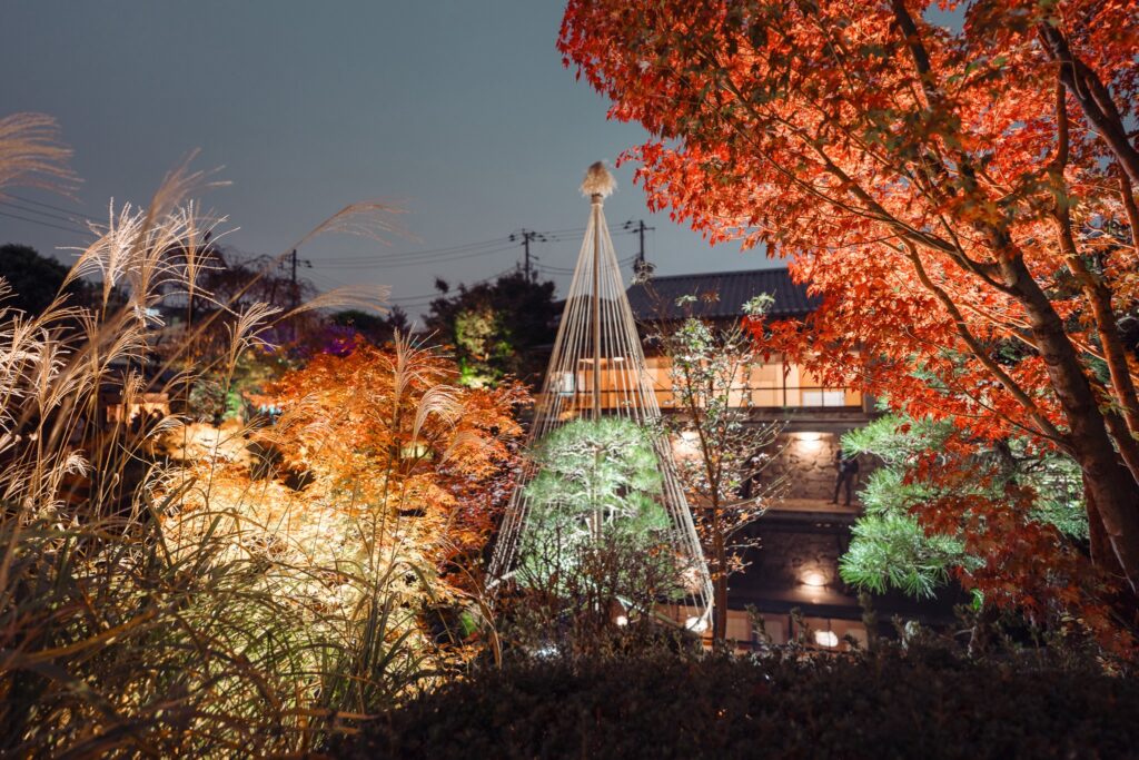 illuminations d'automne au japon