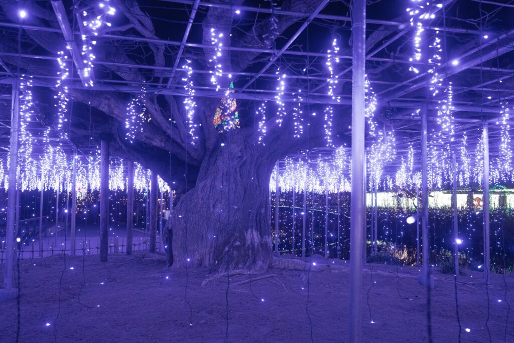 illuminations d'hiver japon