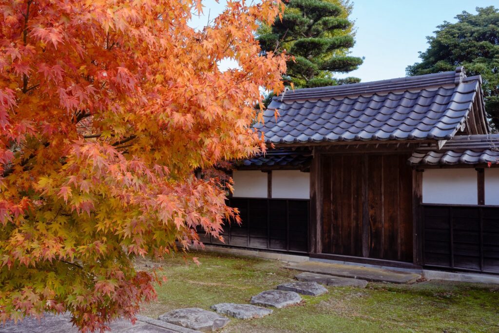 momiji