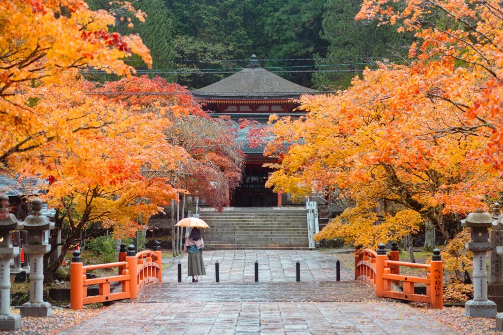 20 lieux pour admirer les Momiji au Japon en 2024