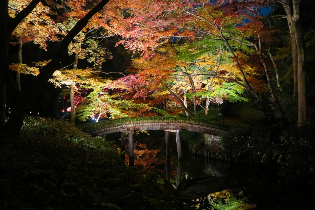 tokyo rikugien automne