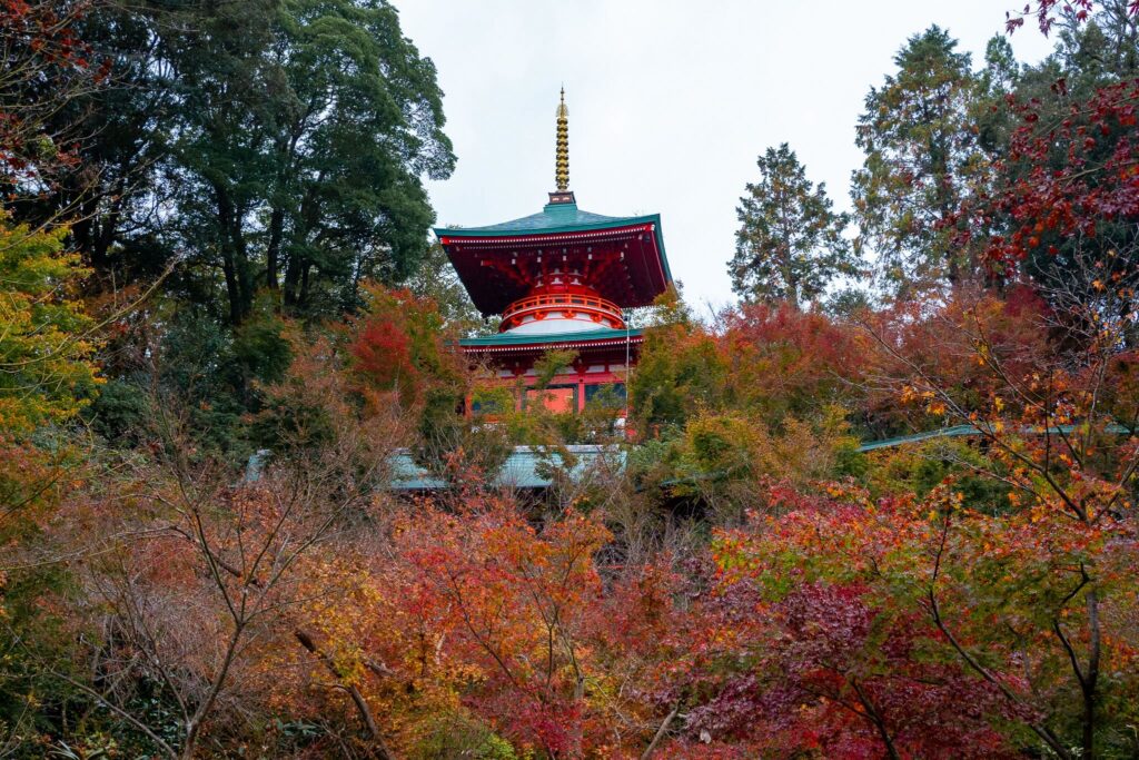 saga koya-ji