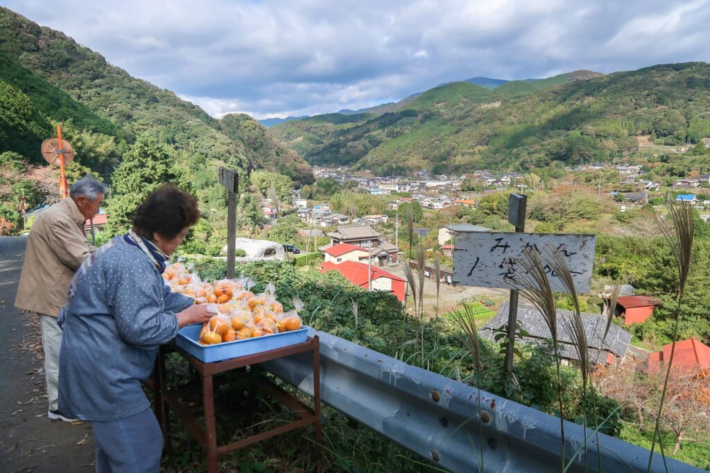 mikan mujin hanbai