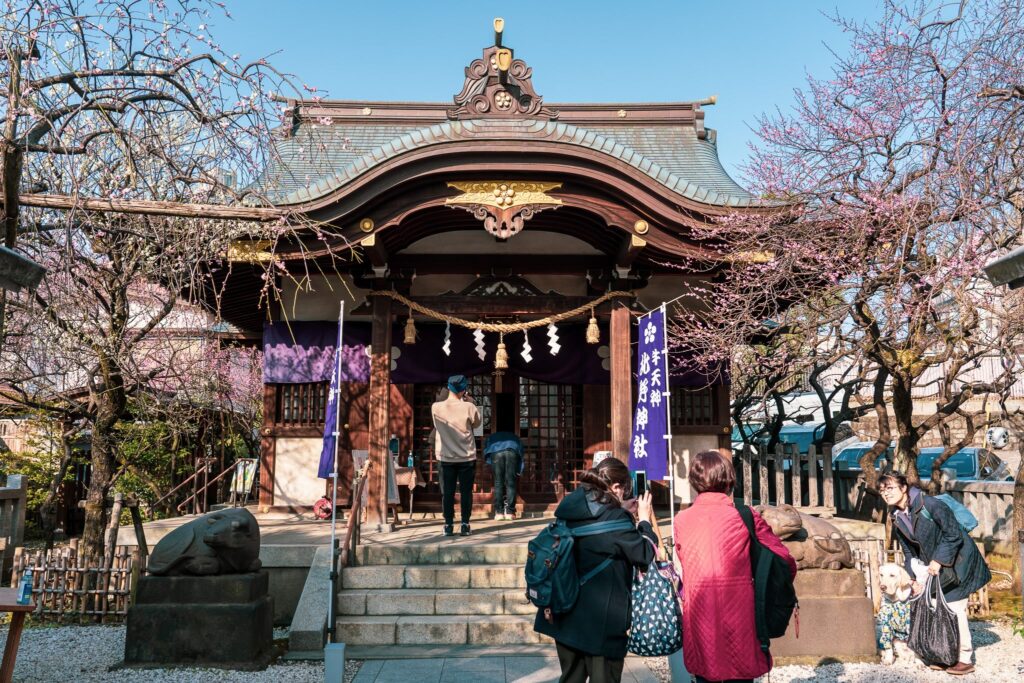 ushi tenjin kitano ume matsuri