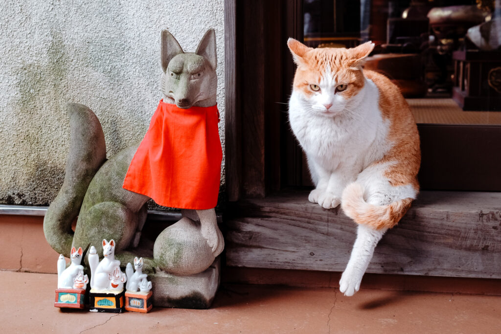 Les chats au Japon