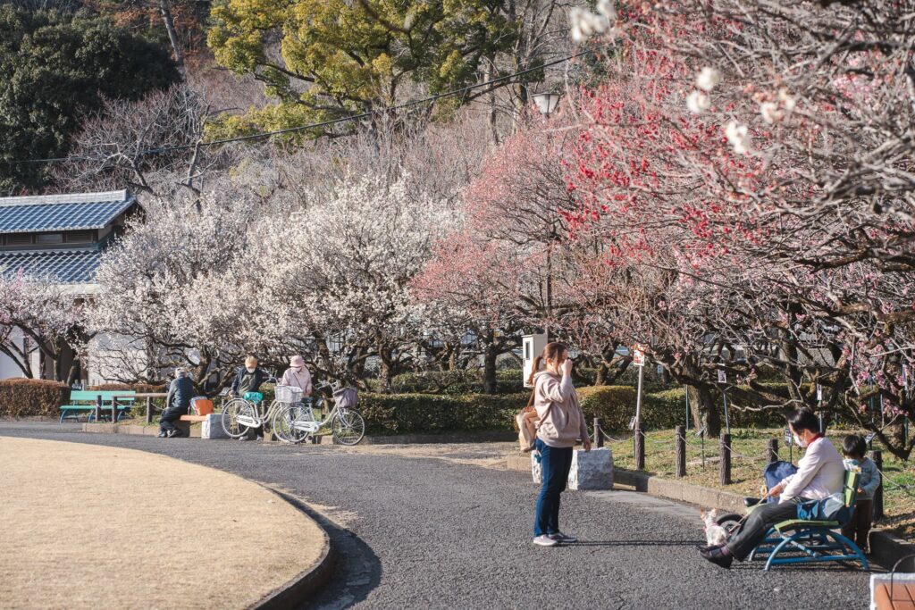 gifu bairin koen