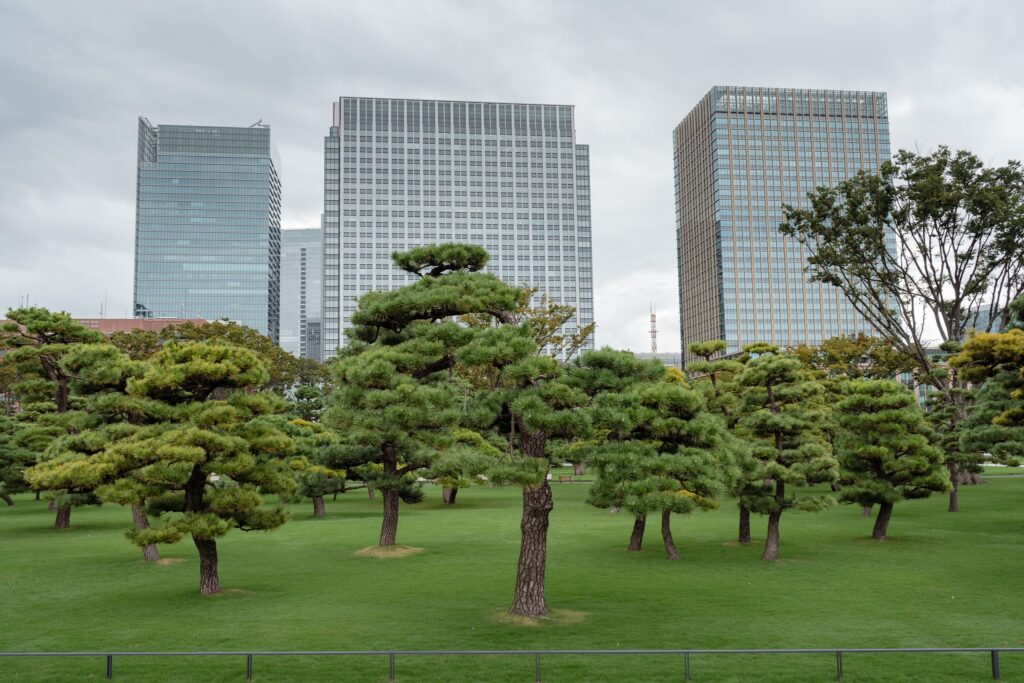 palais impérial tokyo jardin