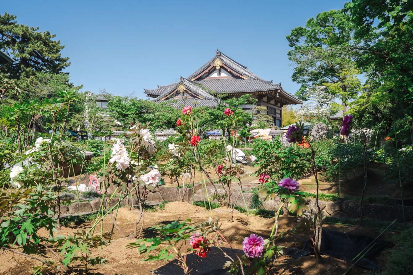 botan nishiarai daishi