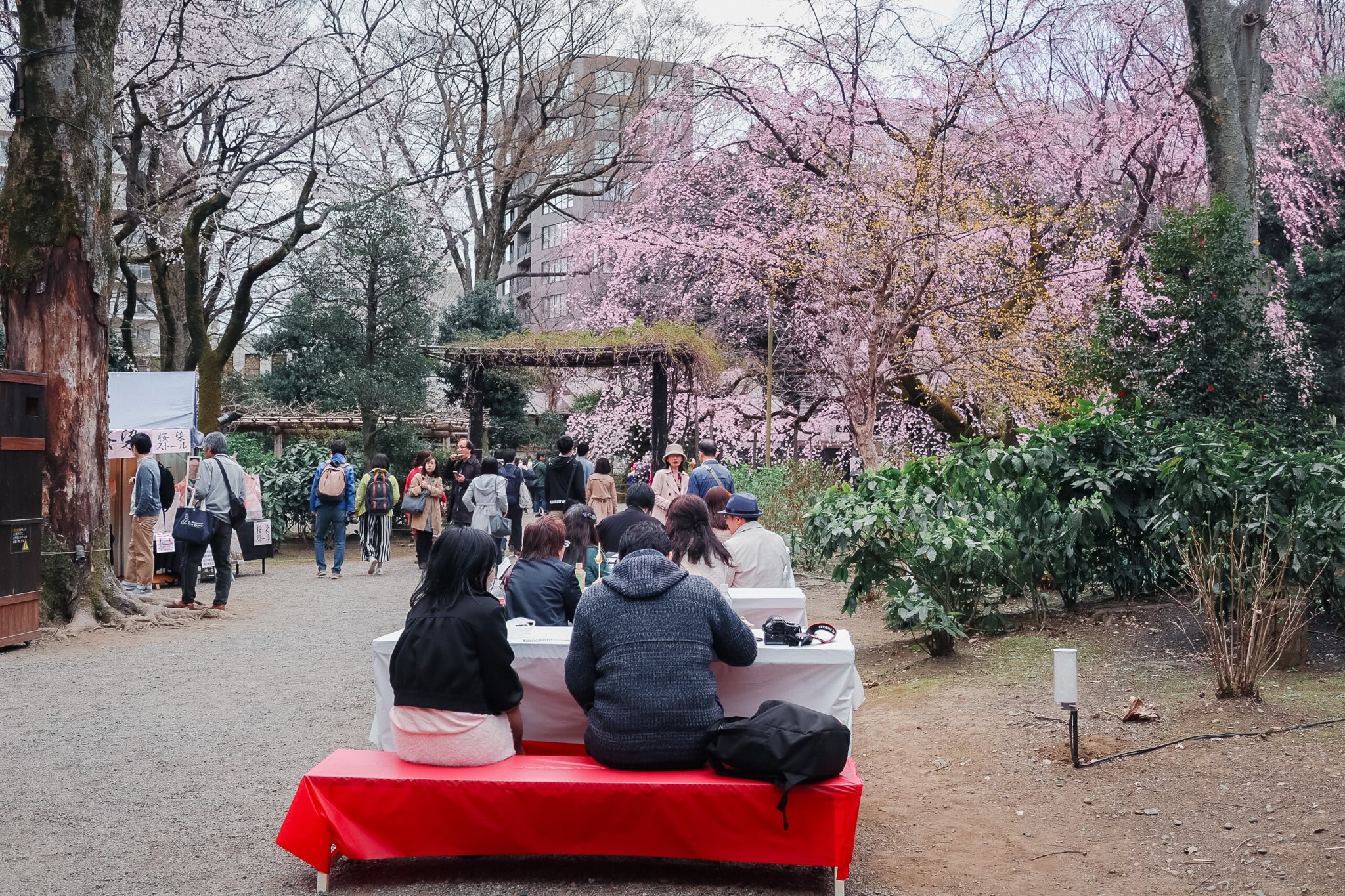 équinoxe de printemps au japon