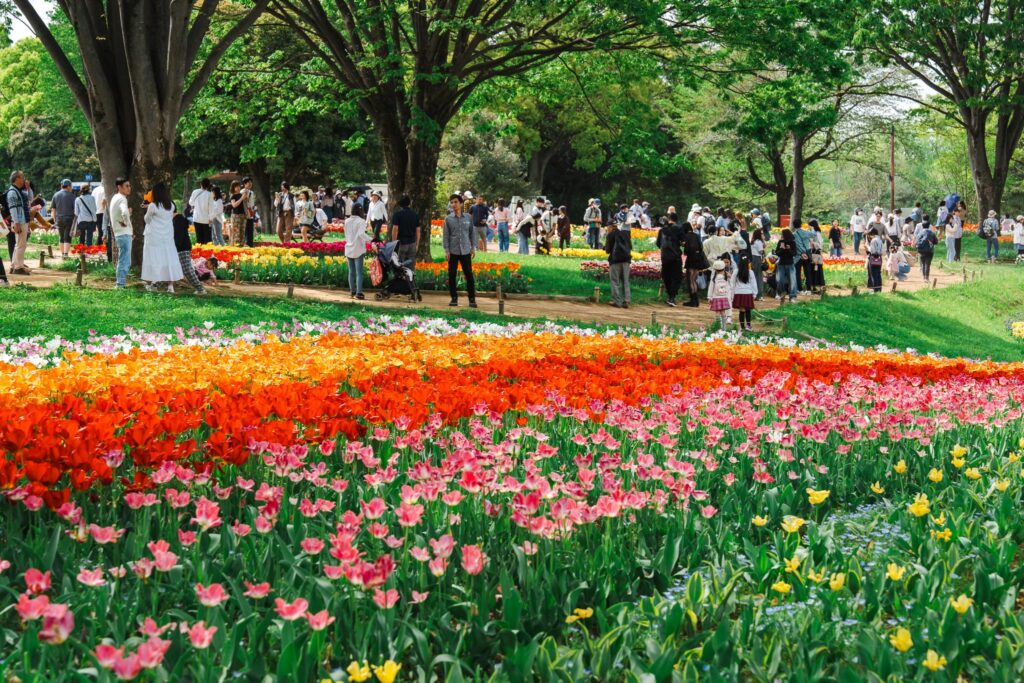 Showa no Hi, le premier jour de la Golden Week