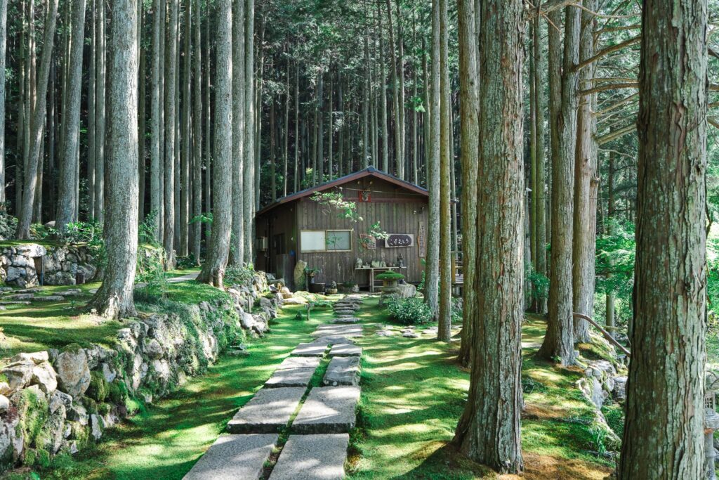 ehime kokemushiro