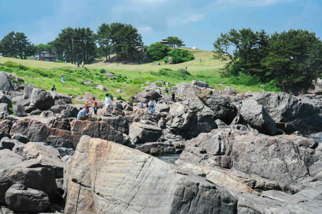 tanesashi kaigan hachinohe
