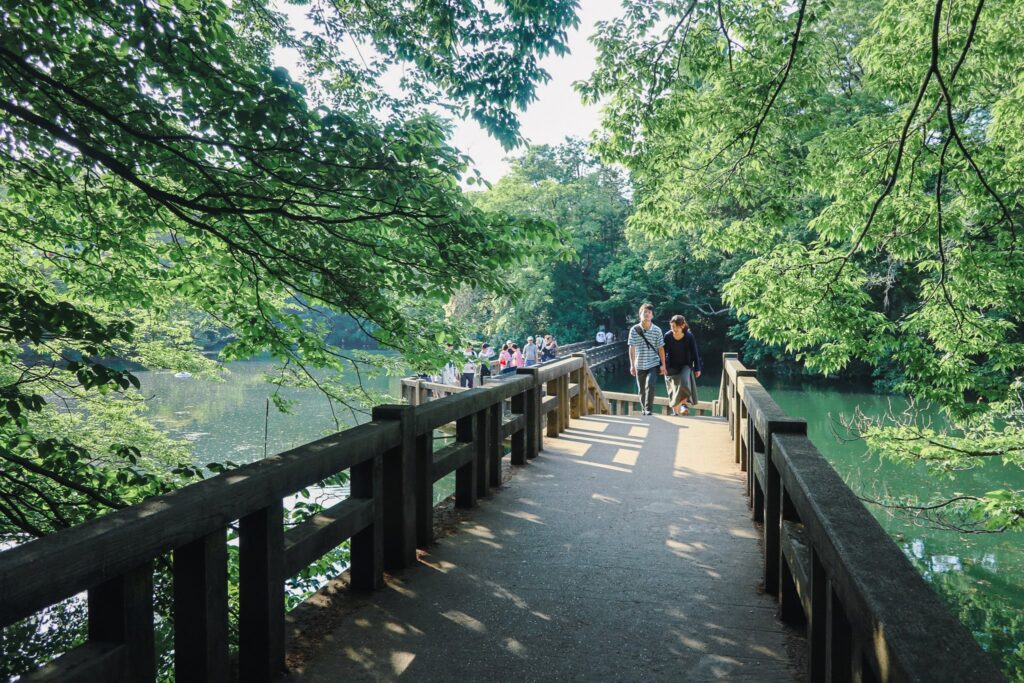 kichijoji inokashira koen