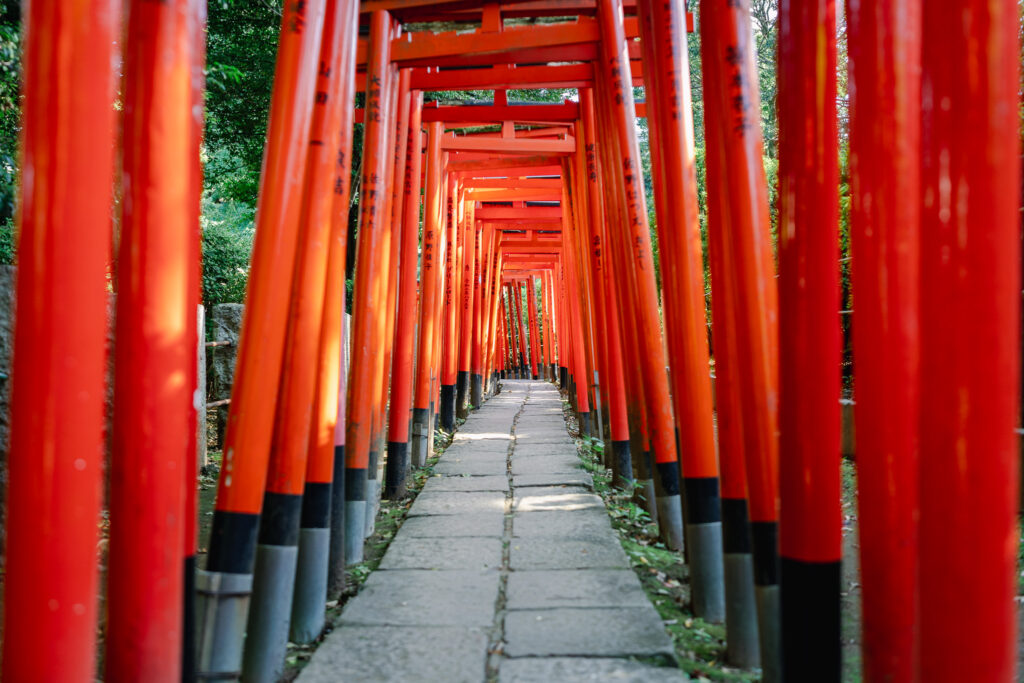 torii inari