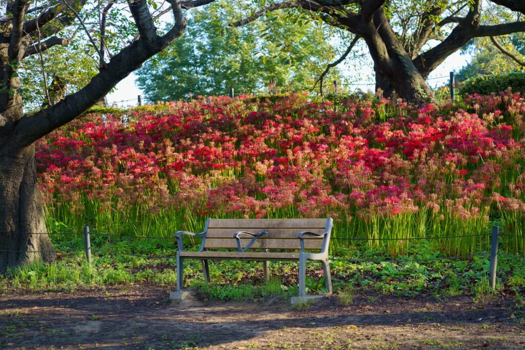 Shubun no Hi, l’équinoxe d’automne au Japon