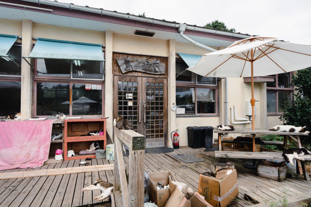 Tashirojima Nyanko Kyowakoku Shimanoeki