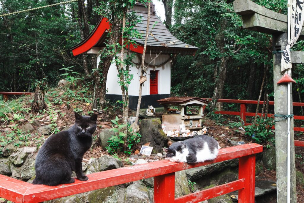 miyoshi-jinja tashirojima