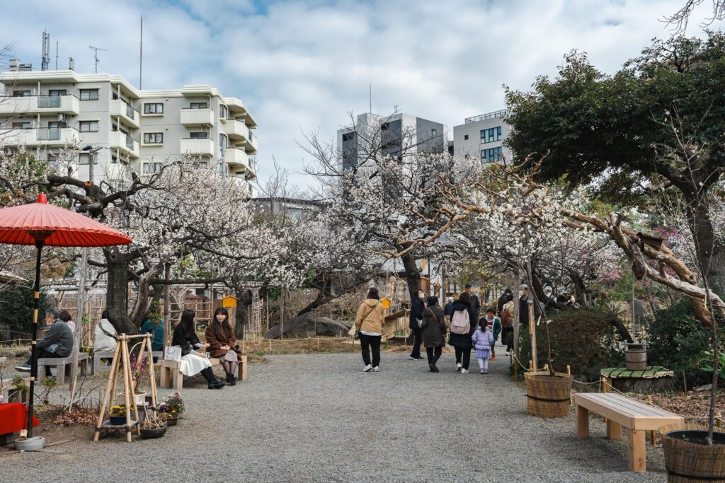Mukojima Hyakkaen Ume Matsuri