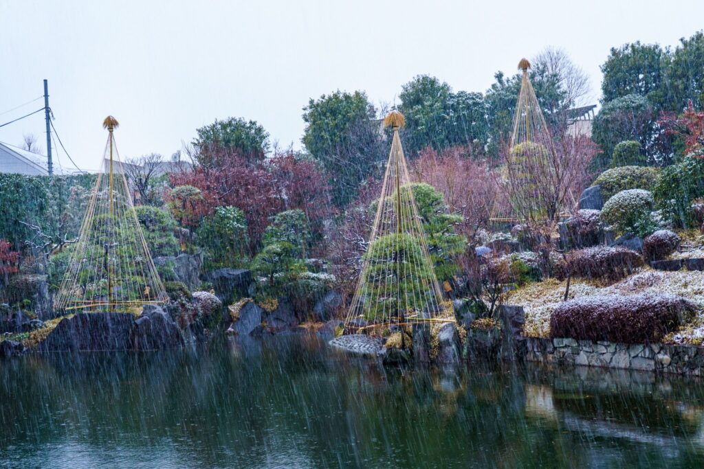 Yukitsuri, la décoration d&rsquo;hiver des jardins japonais
