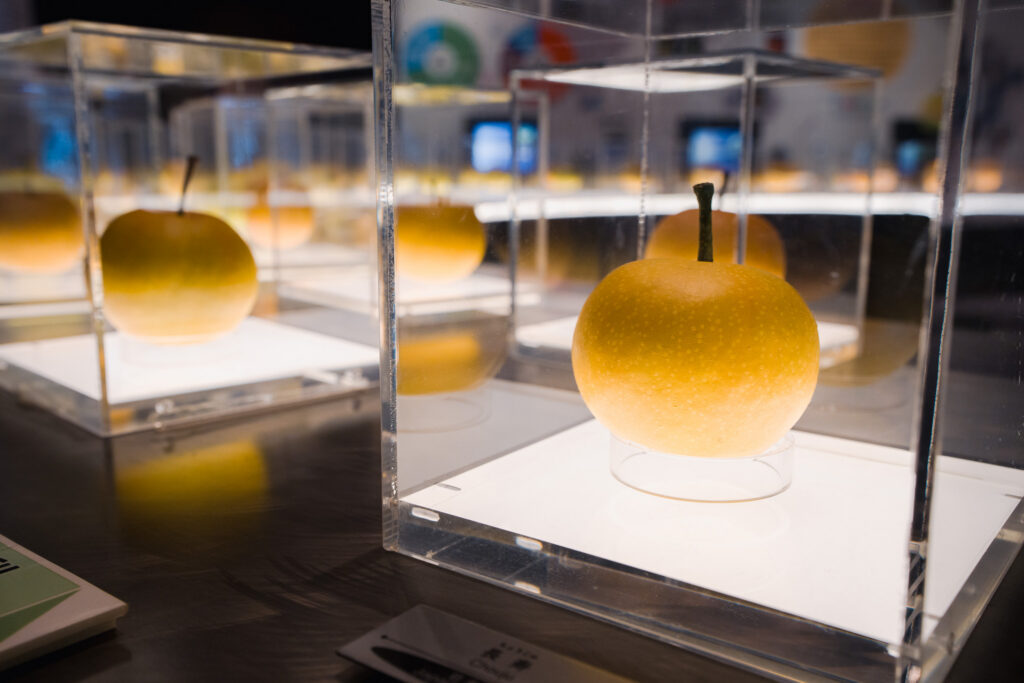 nashikkokan kurayoshi