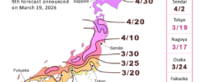 prévisions sakura japon 2026 (mars)